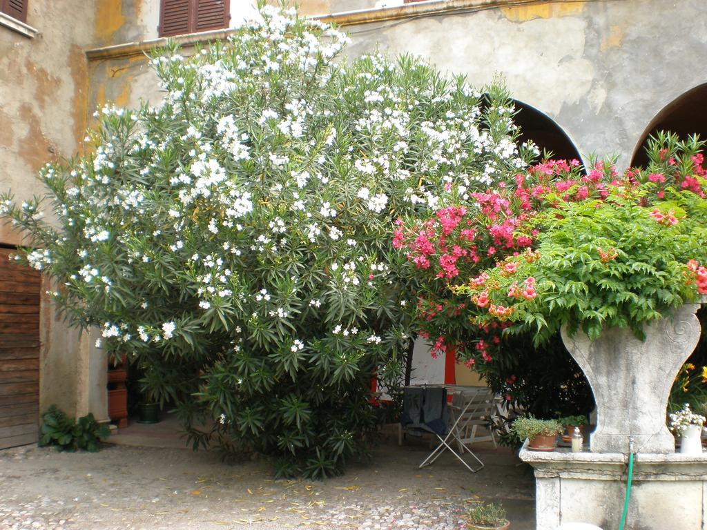 Corte Dall'Era Bed and Breakfast Brescia Eksteriør billede